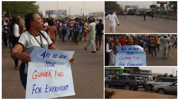 Timber Association Protests Against Closure Of Logging Activities In Edo