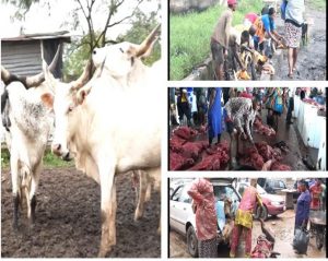 State Of Abattoirs In Benin City