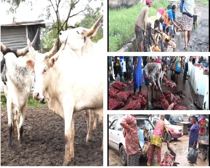 State Of Abattoirs In Benin City