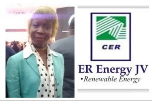 Italian Based Int’l Renewable Energy Company To Establish  Independent Power Plant In Edo