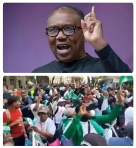 Nigerians In Diaspora Demand Peter Obi Sworn-In As President