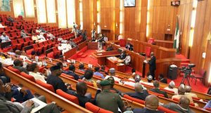 SENATE: We’ll Fight Any Plot To Destabilize Minority Parties – Opposition Senators Swear