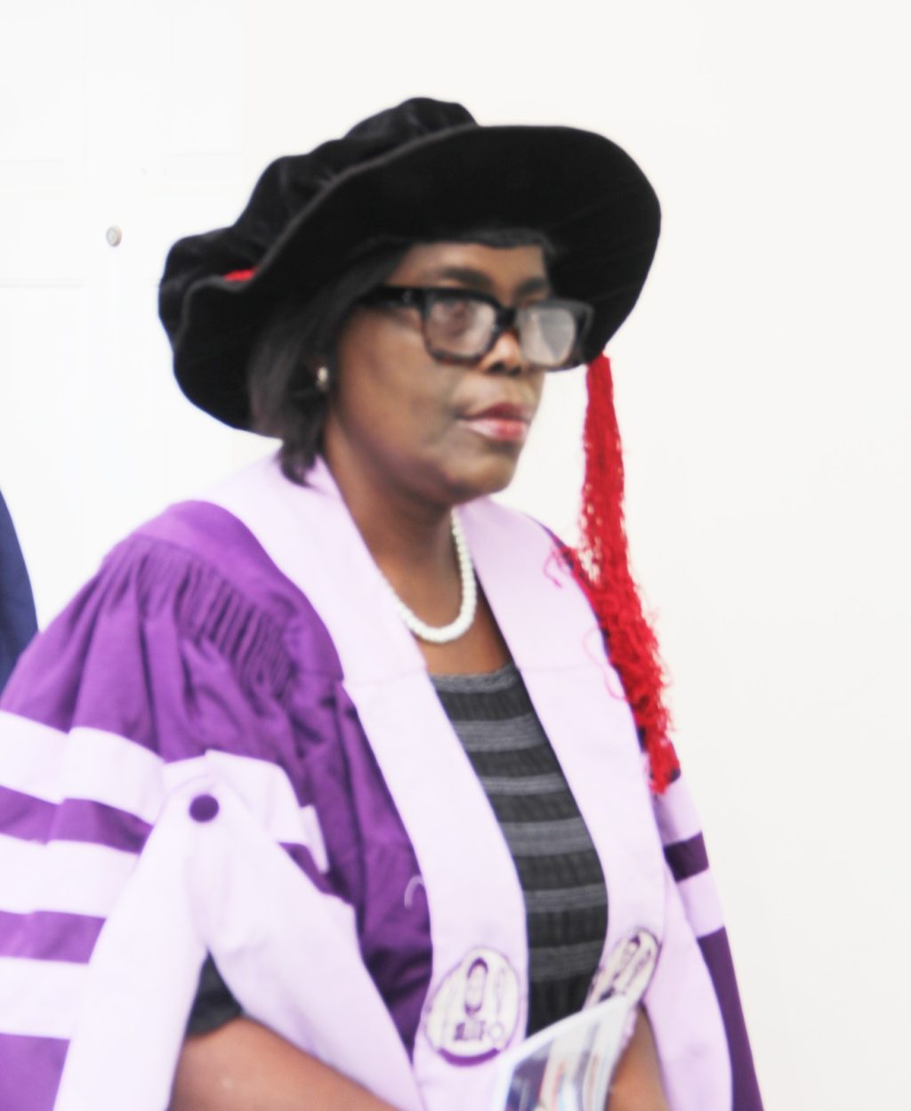 University Don Advocates Positive Attitude Towards Problem Solving Among Nigerian Citizens.