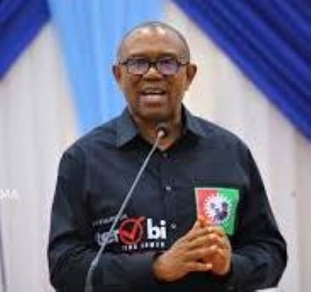 Cyber Security Levy’ll Drive More Nigerians Into Poverty – Peter Obi
