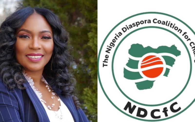 You Epitomize Strength – Diaspora Coalition Felicitates Patience Ndidi Key On Birthday