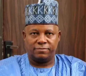 VP Shettima Faults Fubara’s Removal By President Tinubu