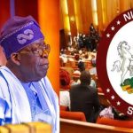 Senate Approves $21.5billion 2025/2026 External Borrowings For Tinubu Govt