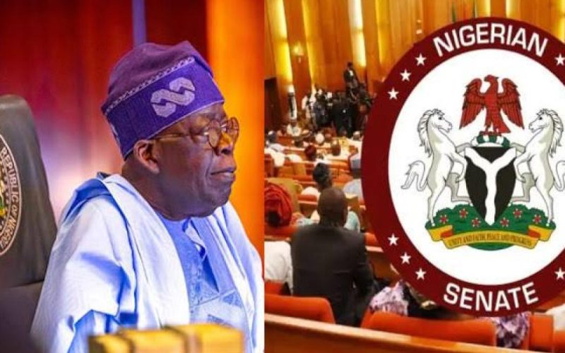 Senate Approves .5billion 2025/2026 External Borrowings For Tinubu Govt