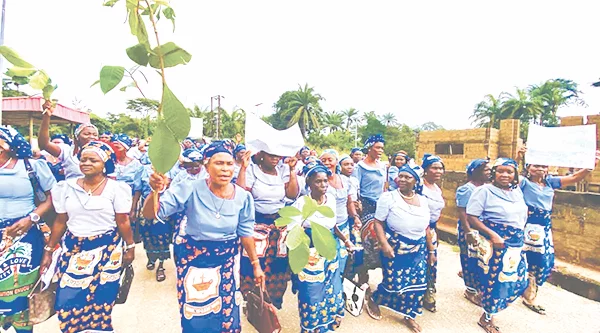 Why Catholic Women Attacked Priest In Enough to