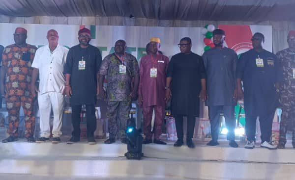 Edo PDP Elects New SEC Members, As Aziegbemi Returns Chairman