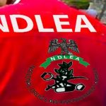 NDLEA Arrests 26, Seizes Over 41,000kg of Narcotics and Destroys Cannabis Farms in Edo
