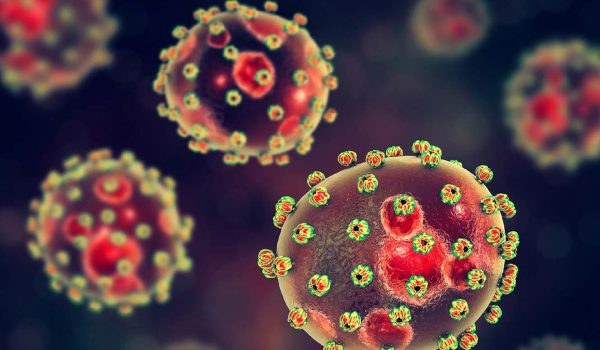 NCDC Confirms 13 New Lassa Fever Cases, Four Deaths In Edo, Ondo States NCDC Confirms 13 New Lassa Fever Cases, Four Deaths In Edo, Ondo States