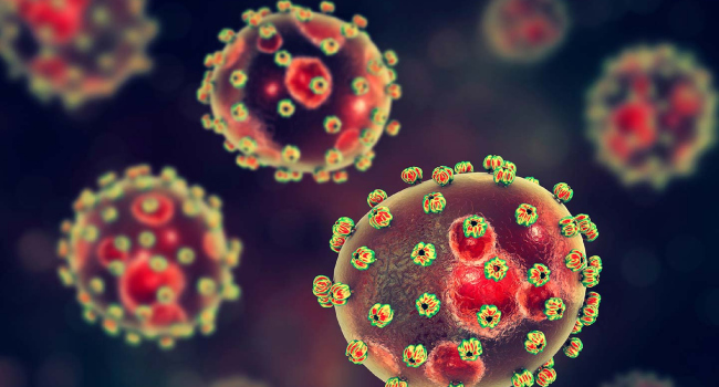 NCDC Confirms 13 New Lassa Fever Cases, Four Deaths In Edo, Ondo States NCDC Confirms 13 New Lassa Fever Cases, Four Deaths In Edo, Ondo States