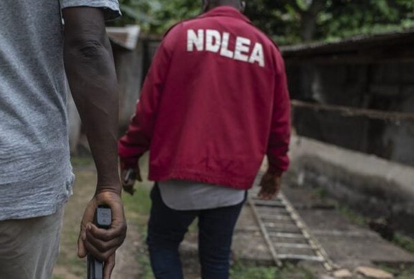 One Injured As NDLEA, Army Operatives Attacked By Drug Traffickers in Edo One Injured As NDLEA, Army Operatives Attacked By Drug Traffickers in Edo