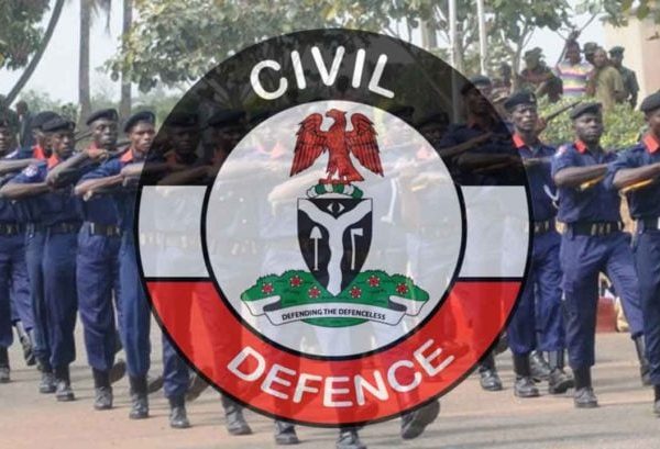 Officer of NSCDC Admits to N1.7m Fraud
