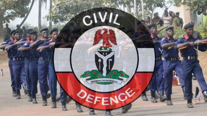 Officer of NSCDC Admits to N1.7m Fraud