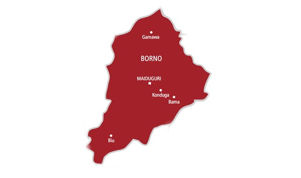 How Three Teenagers Packaged Bomb To Blow Up Borno Hospital