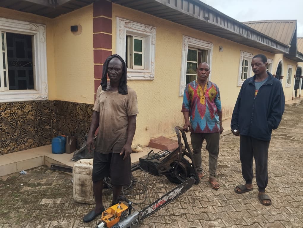 Loggers Invade Monarch’s Forest, Defile Ancestral Shrine In Edo
