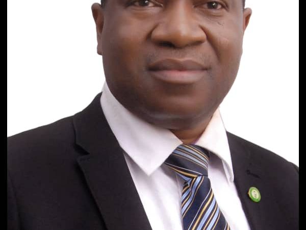 Prof. Afekhide Ernest Omoti Elected As NMA National President