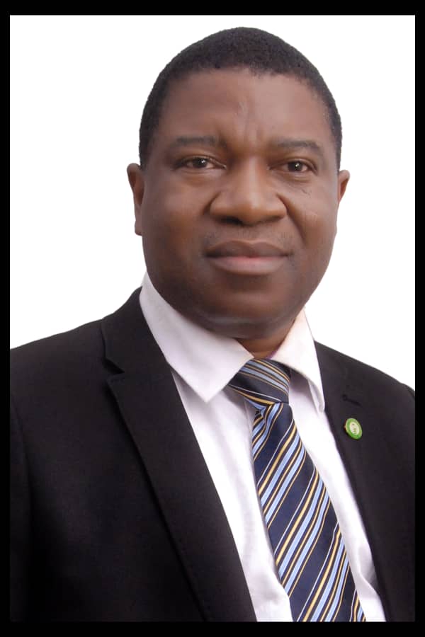 Prof. Afekhide Ernest Omoti Elected As NMA National President