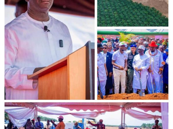 How Governor Okpebholo is Driving Edo’s Emerging Energy Revolution