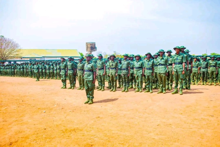 Edo Govt Says Forest Guards Will Safeguard Forests and Farmlands