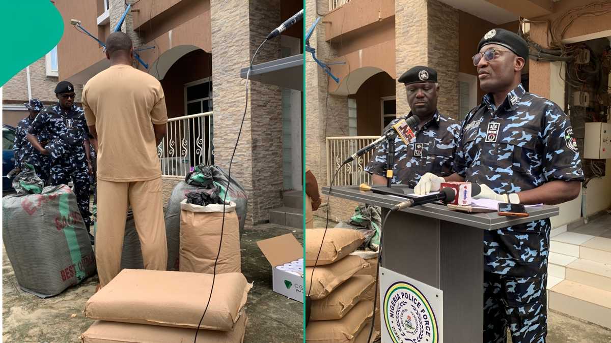 Police Seize Suspected Canadian Loud Worth N7.8bn, Reject N500m Bribe