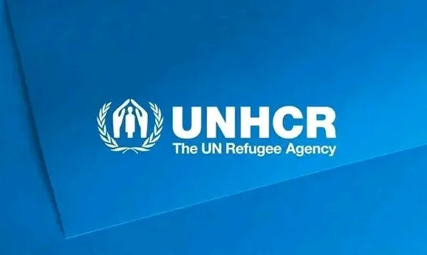UNHCR Warns As Lake Chad Basin Violence Displaced 3.5 Million