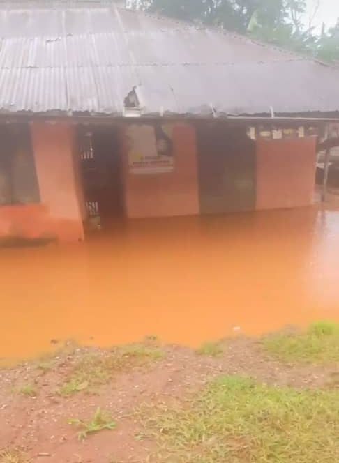 The Need for a Reassessment of the Ongoing Road Construction in Ewatto