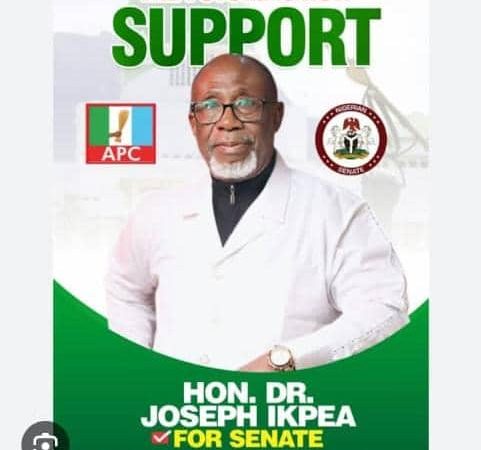 2027 General Election: Group Endorse Senator Ikpea For Senate