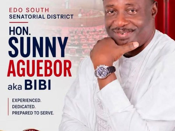 NDC Affirms Sunny Aguebor As Edo South Senatorial Candidate, Dismisses Rival Claims