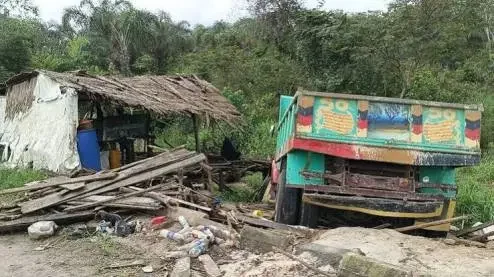 How Truck Crushed Two Brothers To Death At Palmwine Joint In Delta